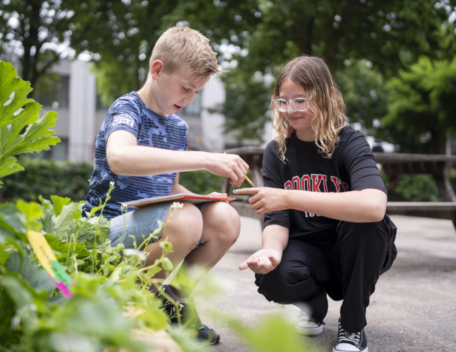 Werken bij Oosterwijs